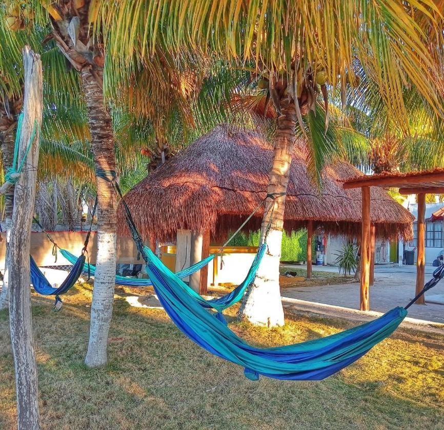 Pelican Inn At Las Dunas Chelem Dış mekan fotoğraf